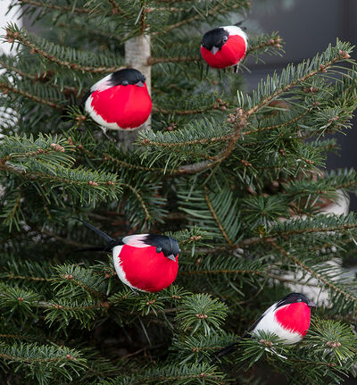 Dompap på pinne rød Dompap på pinne rød